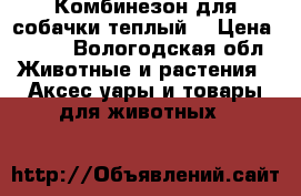 Комбинезон для собачки теплый  › Цена ­ 400 - Вологодская обл. Животные и растения » Аксесcуары и товары для животных   